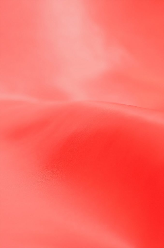 Huid